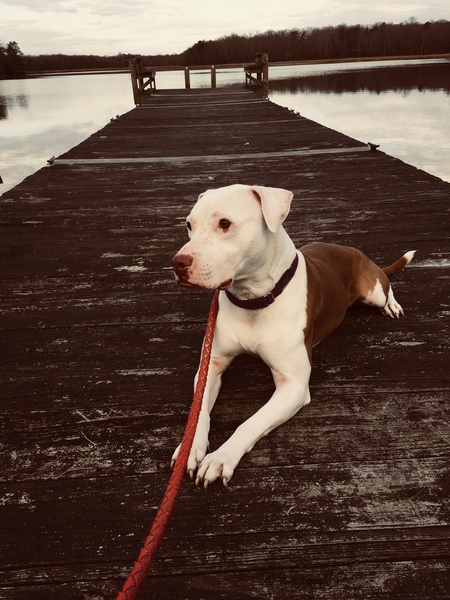 Entry image for Fiona . Clicking this image will show a larger photo