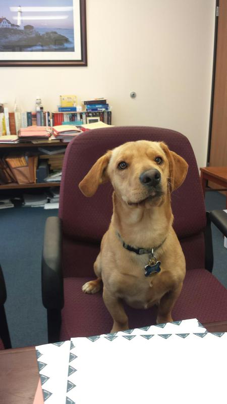 Entry image for Bradley. Clicking this image will show a larger photo