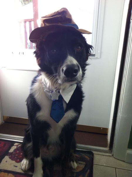 Entry image for Sam. Clicking this image will show a larger photo