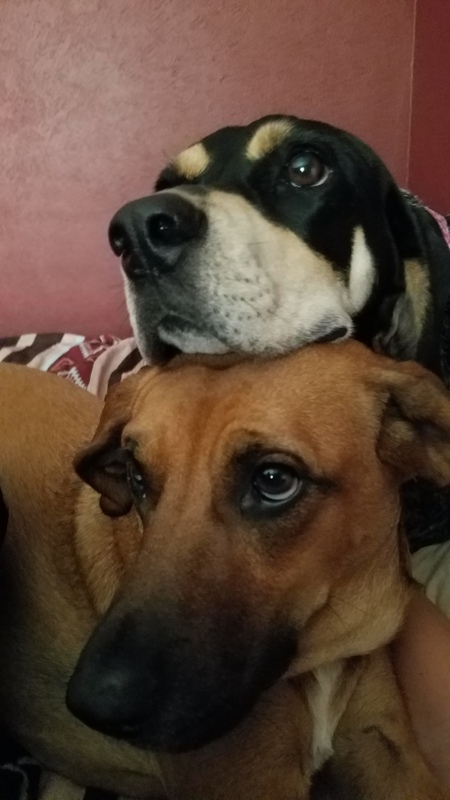 Entry image for Brandy & Georgia. Clicking this image will show a larger photo