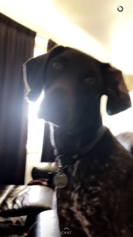 Entry image for Potter. Clicking this image will show a larger photo