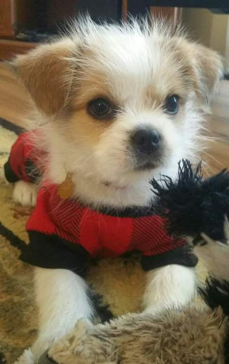 Entry image for Marley Meadow . Clicking this image will show a larger photo