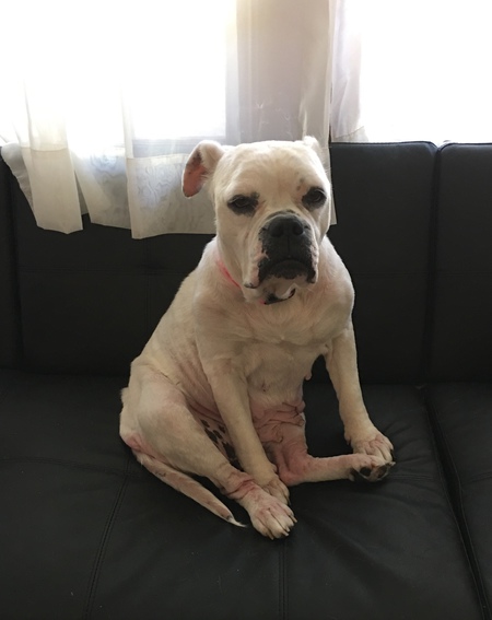 Entry image for Delilah Horn . Clicking this image will show a larger photo