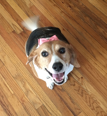 Entry image for Daisey Rhodes. Clicking this image will show a larger photo