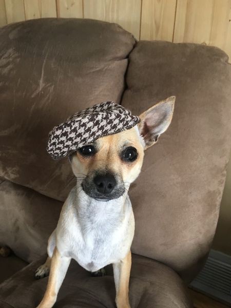 Entry image for Moe . Clicking this image will show a larger photo