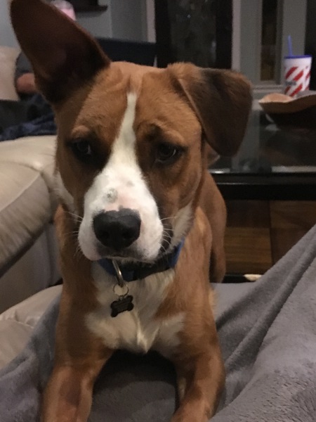 Entry image for Gully. Clicking this image will show a larger photo