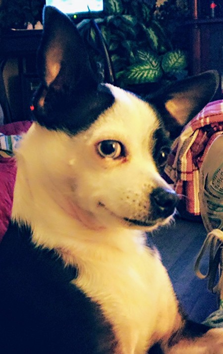 Entry image for Pe'pe. Clicking this image will show a larger photo