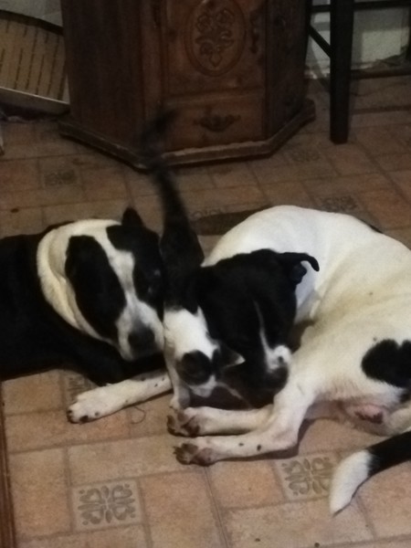 Entry image for Cash, monster and baby. Clicking this image will show a larger photo