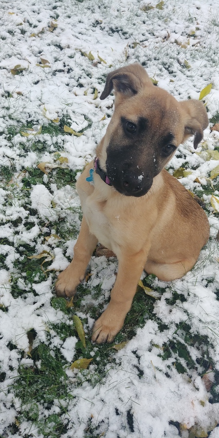 Entry image for Tula. Clicking this image will show a larger photo