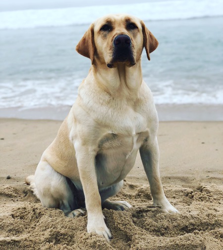 Entry image for Gretchen . Clicking this image will show a larger photo