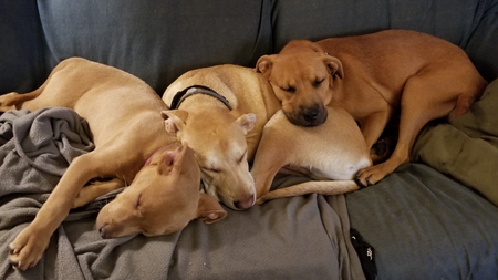 Entry image for Stix, Garo & Denver. Clicking this image will show a larger photo