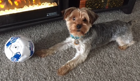 Toby