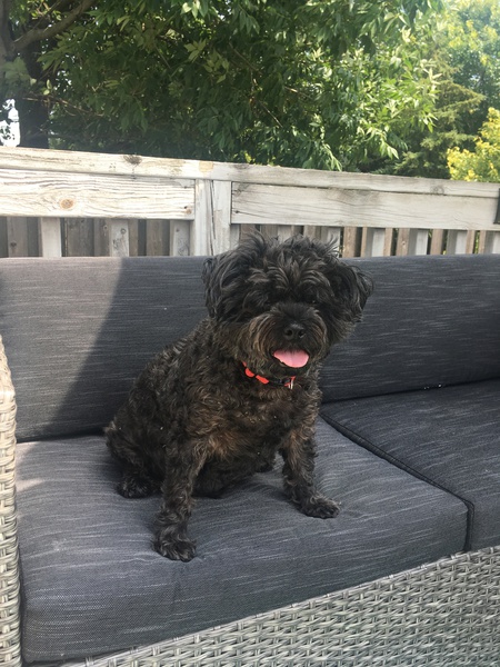 Marley