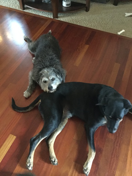 Riley & Kona