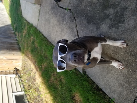 Opie