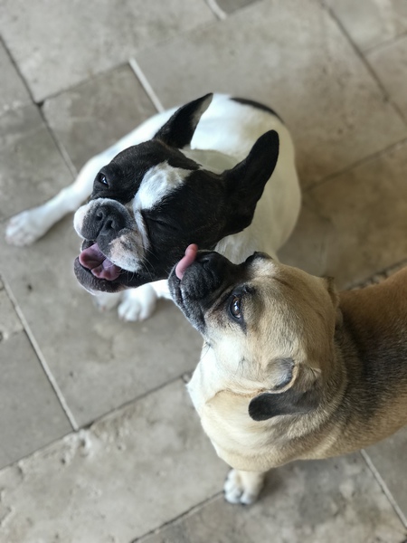 Eleanore & Nona