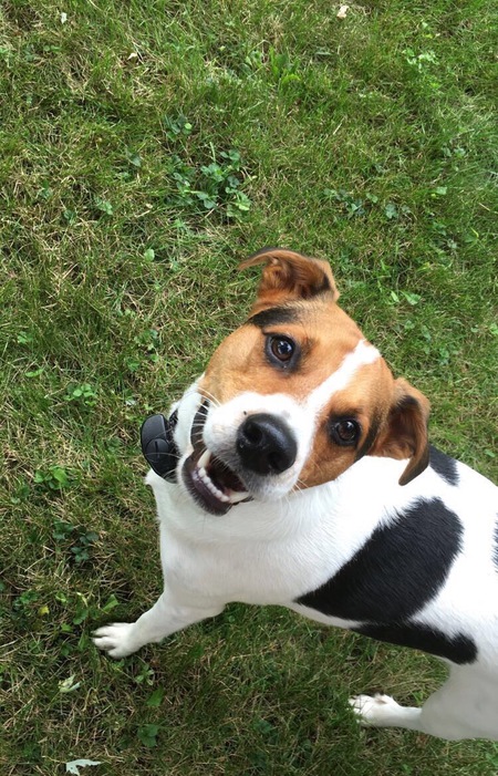 Tucker