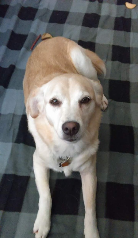 Roxy