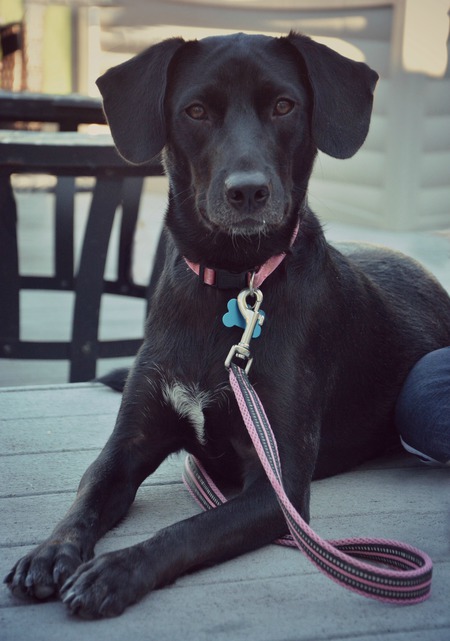 Riley