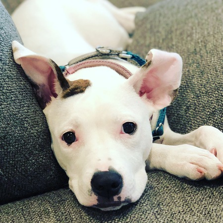 Sweet Josephine 