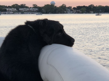 Winnie