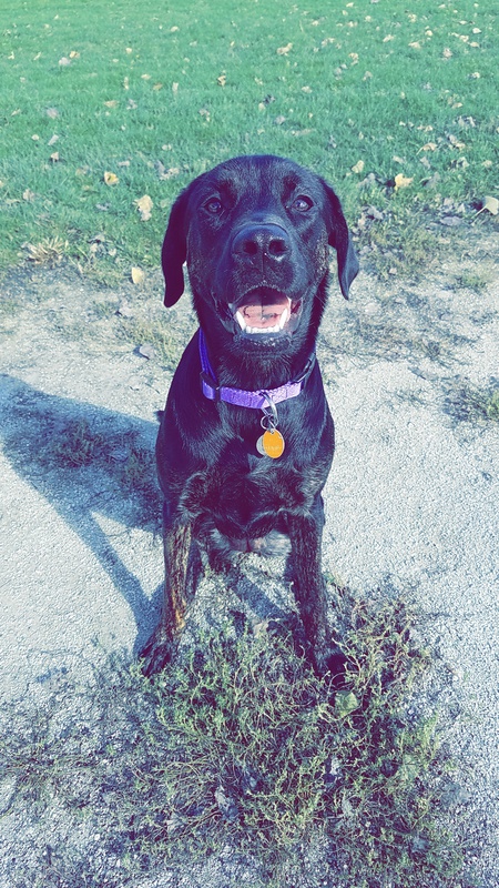 Ember
