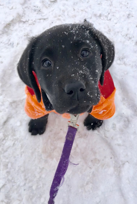 Winter