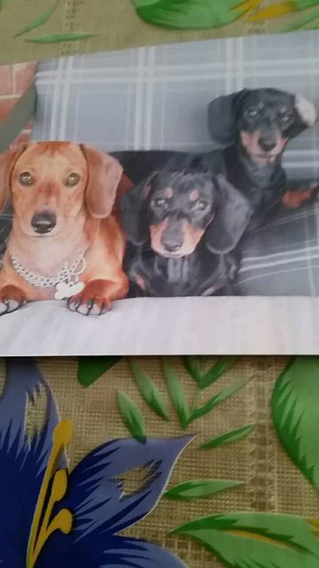 (Delightfuly) Dash, Max (well Smart) and Molly(Polly)