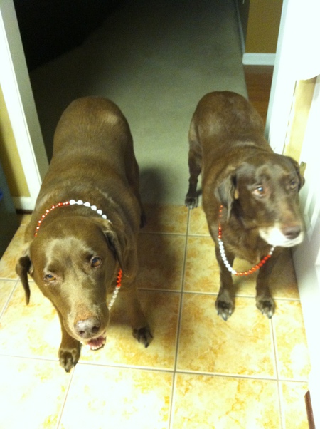 Maggie & Belle