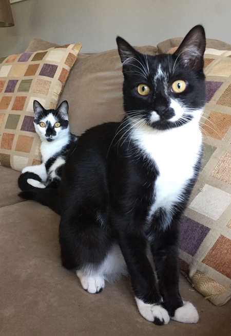 Teddy & Ruby
