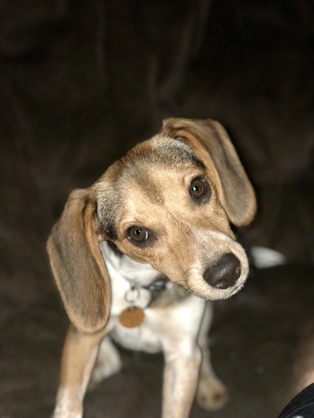 Oliver