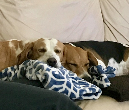 Indiana & Otto