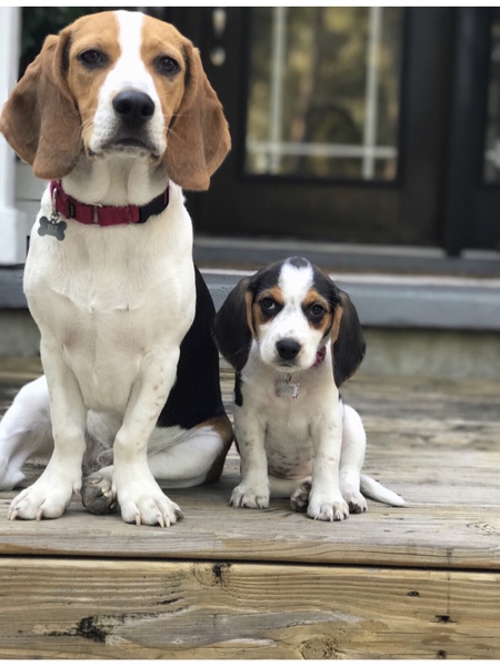 Tex &Aggie