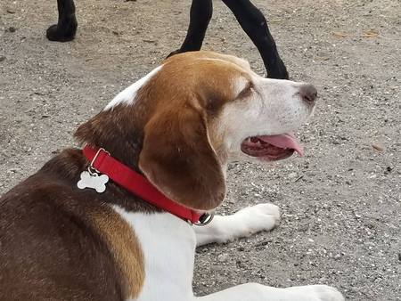 Benny