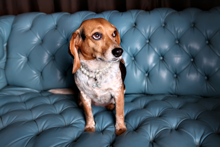 Penny Lane
