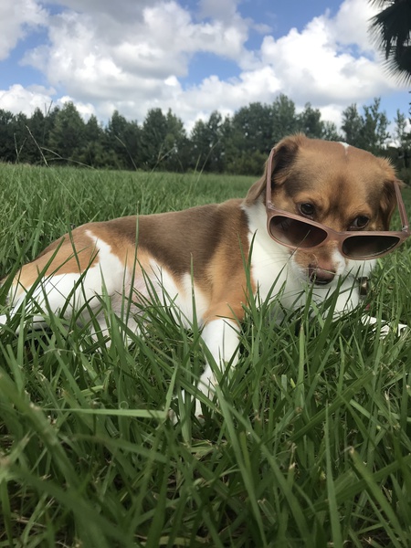 Molly