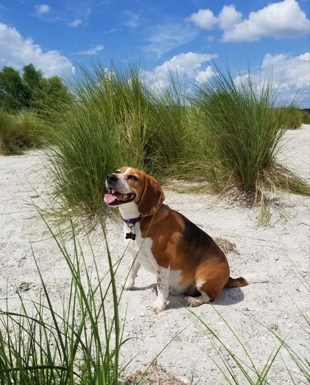 Buster
