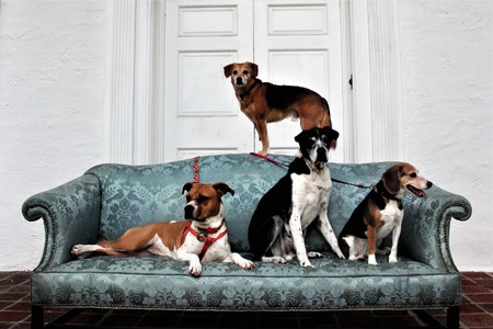 Clark, Renley, Scooby, and Penelo