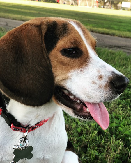 Jax