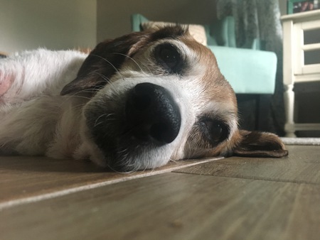 Murray