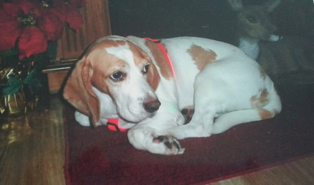 CHARLIE