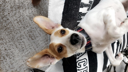 Charlie