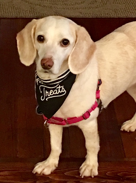 Mia