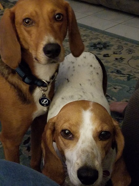 ROLLAND and TRIXIE (Honey II)