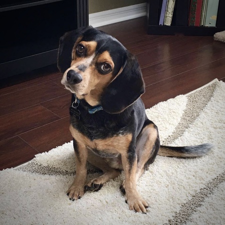 Porter