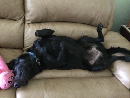 Max