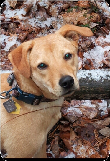 Murphy