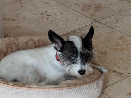 JACK