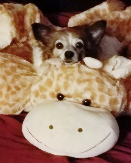 Jeffrey 