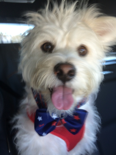 Fergus